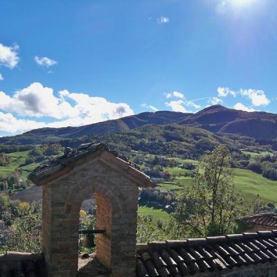 Dal Ponte