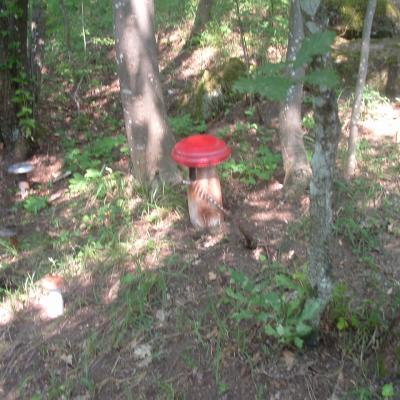 Dscf0028